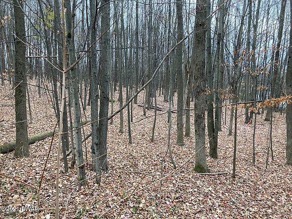 2nd image of Mapleview Dr