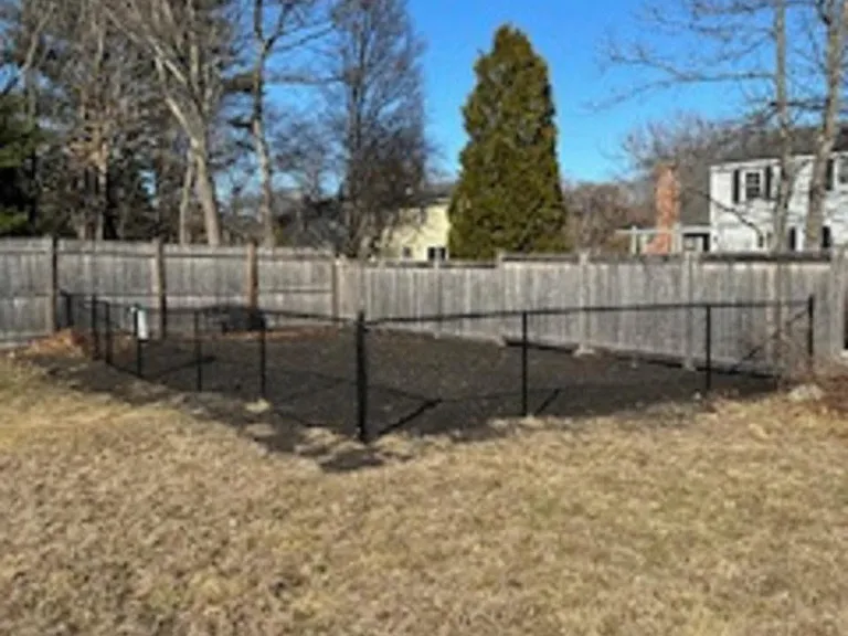 Fenced Dog Park Area