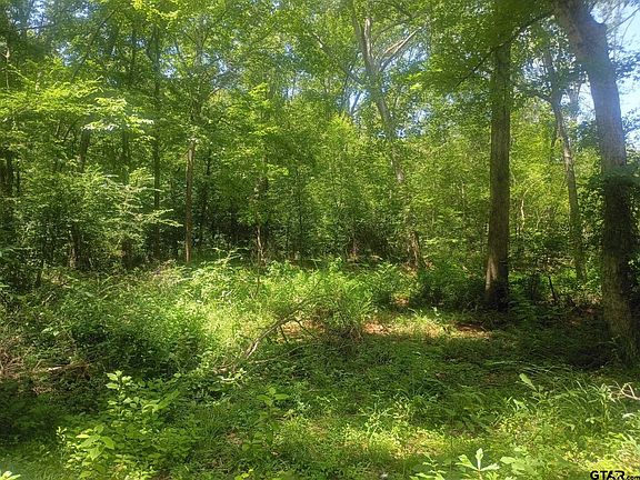 2nd image of County Road 1708