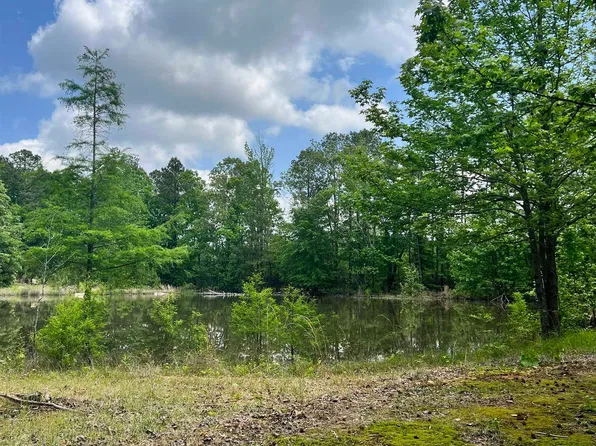 504 Grant #482, Prattsville, AR 72129