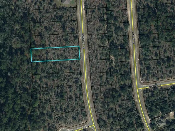 LOT 38 Hernando Cir Lot 38, Chipley, FL 32428