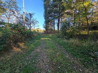 Ellison Ridge Rd, Jumping Branch, WV 25969