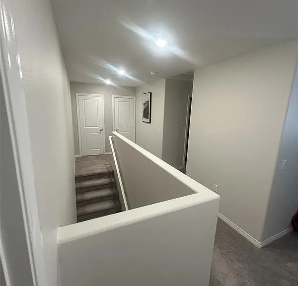 7258 Olive Grove St — Photo 6