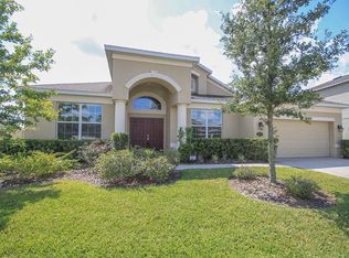 20017 Bears Track Ln, Tampa, FL 33647