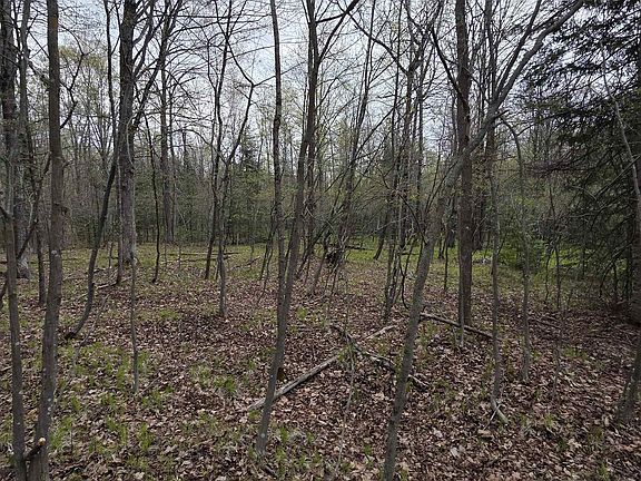 5th image of Chapin Rd