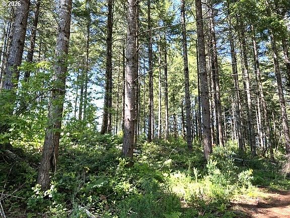 4th image of Tunnel Tract Parcel 1