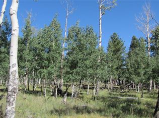 1658 Blacksmith Rd, Hartsel, CO 80449