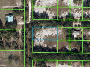 2939 W Rochester Rd, Avon Park, FL 33825