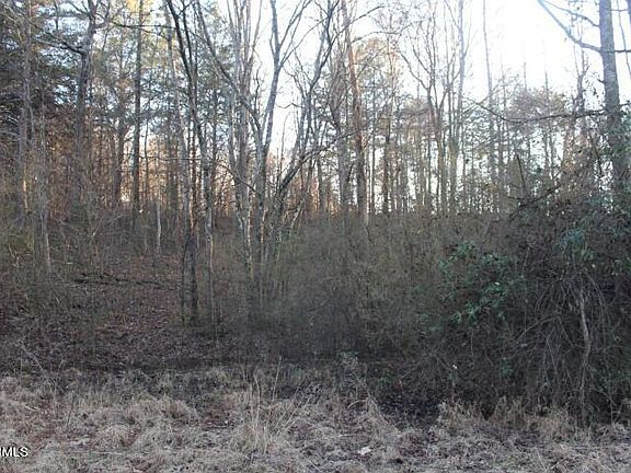 2nd image of 784 County Rd