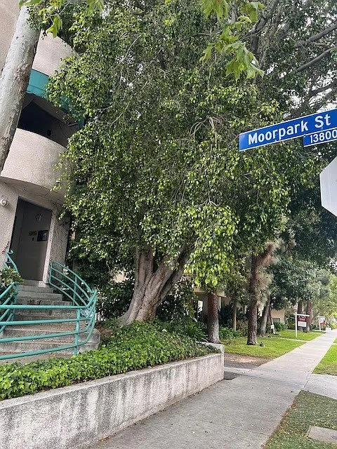 1 bed, 550 sqft, $1,700 — Photo 3