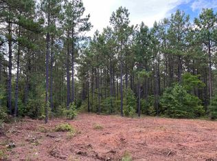 County Road 4122, Selman City, TX 75689