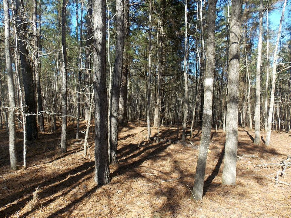 2nd image of 3 Mathews Lane