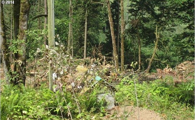 2nd image of 19395 SW Mountain Home Rd