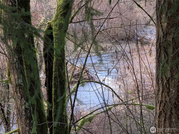 8021 SW Treasure River Trail, Olympia, WA 98512