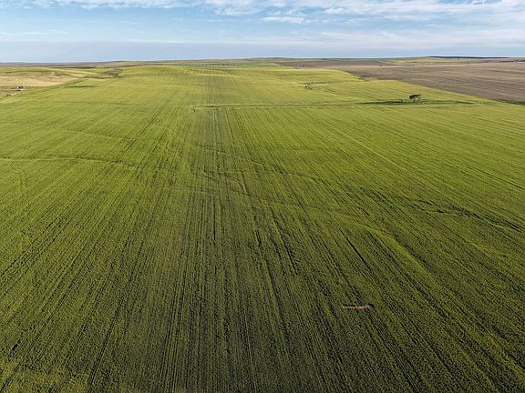 Dji Fly 20260610 185248 0612 1781187764954 Photo