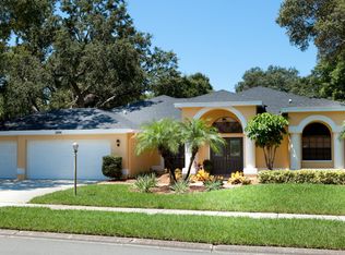 2896 Armadillo Dr, Palm Harbor, FL 34683