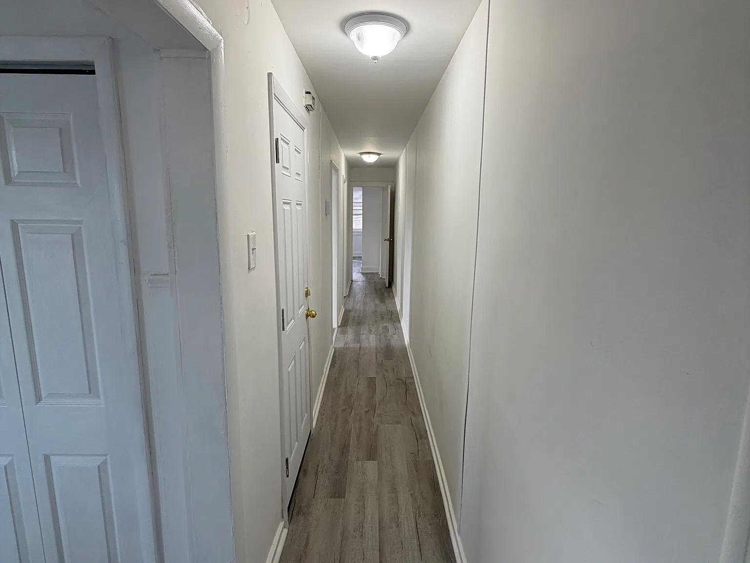 2 bed, 800 sqft, $1,500 — Photo 3