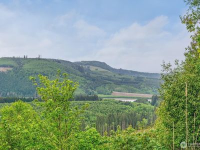 0 X 2500 Road, Toutle, WA, 98649