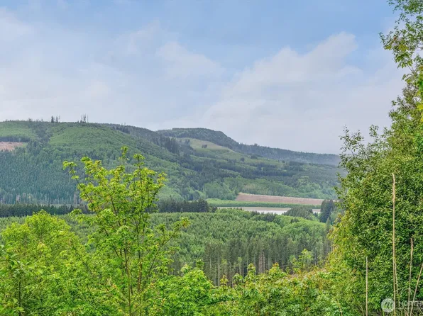 0 X 2500 Road, Toutle, WA 98649