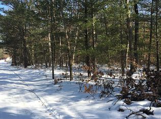 Emory Blvd, Howard City, MI 49329