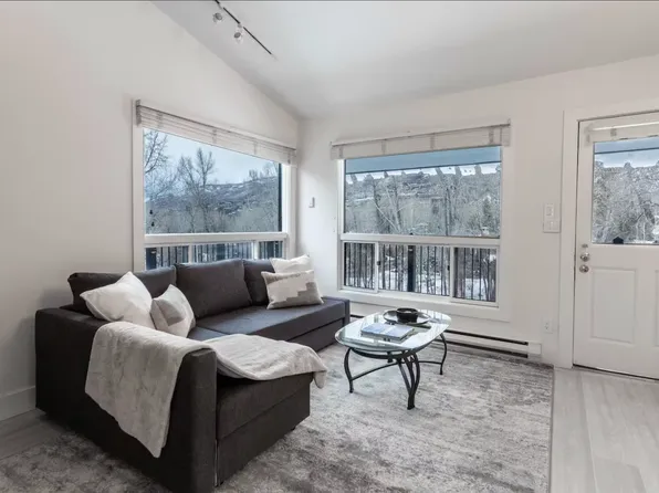 900 E Hopkins Ave APT 16, Aspen, CO 81611