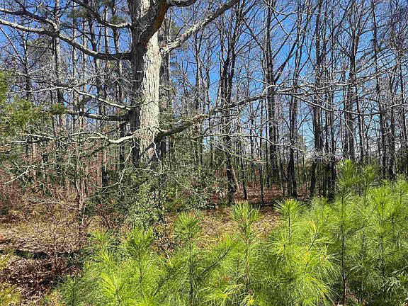 2nd image of 0 Union Rd Tract C