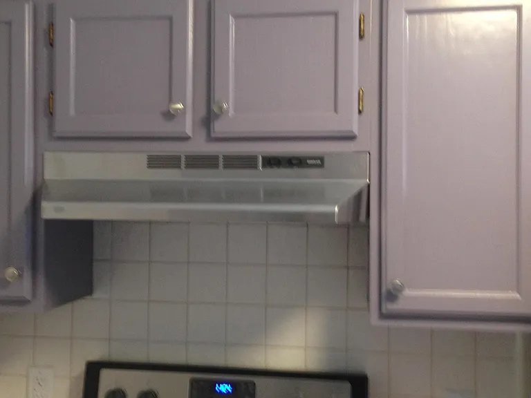 Kitchen Cabinets and range hood