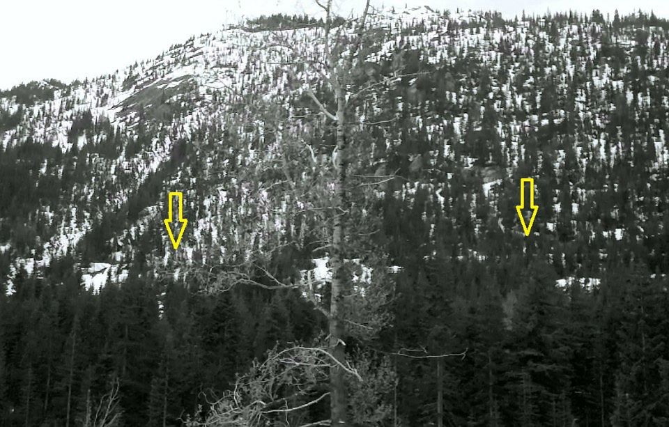 2nd image of 0 Stevens Rd