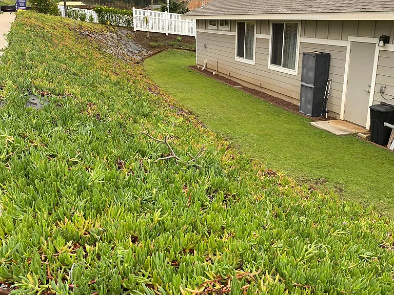 42 Ia Iki St — Photo 12