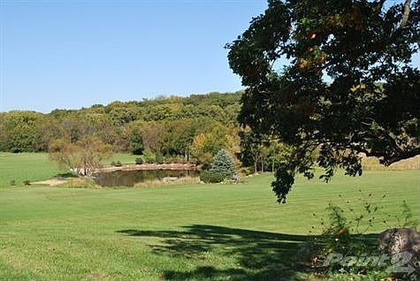 Pond view
