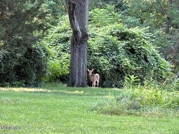 5th image of 4123 Forestlawn Rd