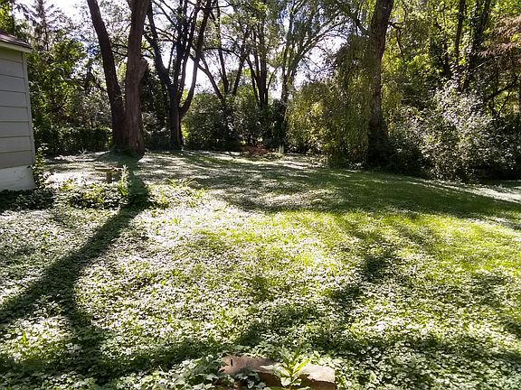 1/2 Acre Back Yard
