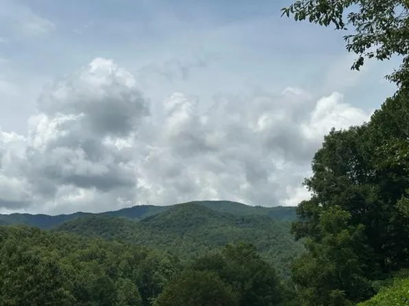 State Route 1205 Berts Creek Rd, Robbinsville, NC 28771