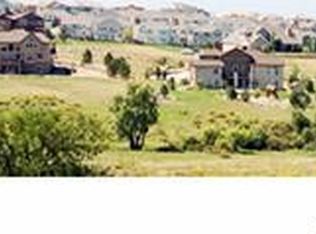 9295 Sara Gulch Way, Parker, CO 80138