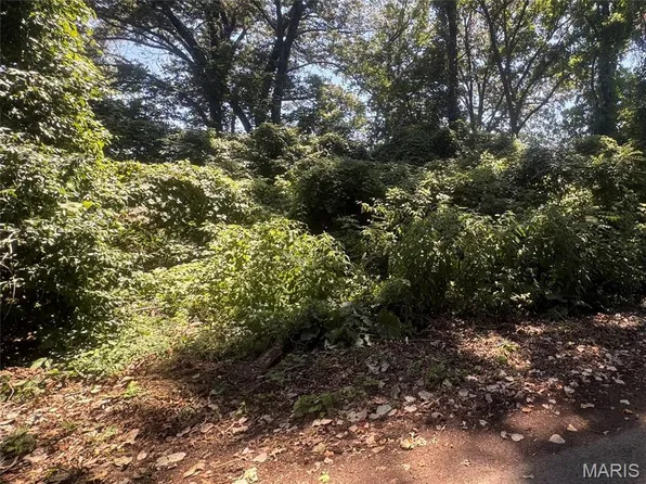 Lots 10 11 S, Poplar Bluff, MO 63901