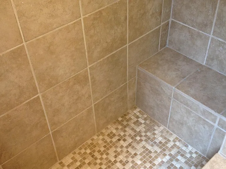 Master Shower/Tub