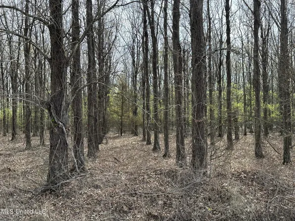 Belk Rd, Sunflower, MS 38778