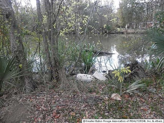 2nd image of 20858 State Highway 22