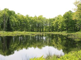 Tbd Skyline Mud Lk, Newberry, MI 49868