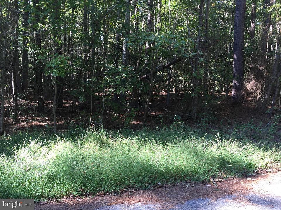 2nd image of Porter Rd