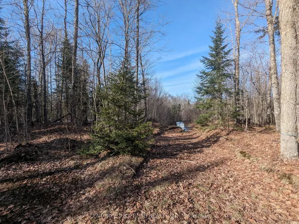 11146 State Highway 118, Algonquin Highlands, ON K0M 1J1
