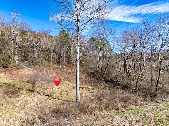 4th image of 497 County Road 442 Lot 2