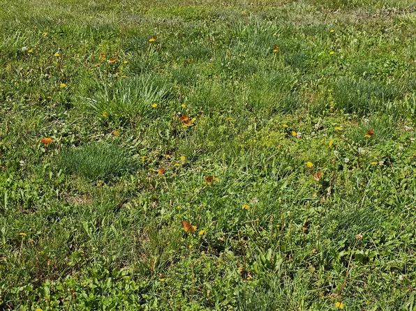 333 State Highway Zz, Niangua, MO 65713