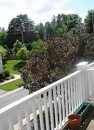 2nd image of 374 Willoughby Way W