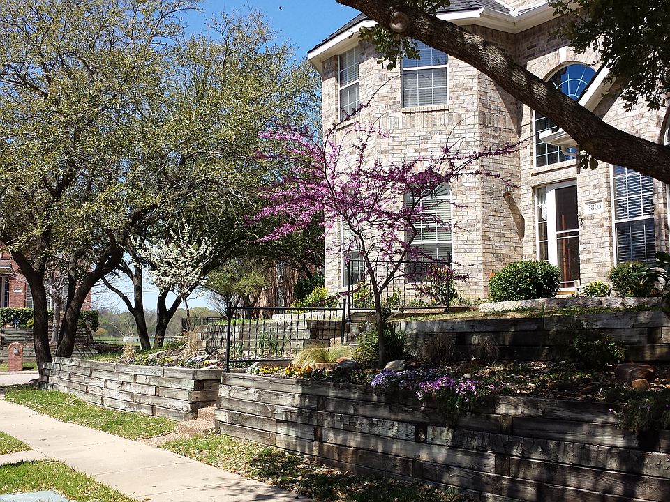 1st image of 3805 Shumard Oak Dr