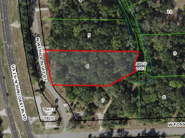 11043 N Withla Bluff Point, Inglis, FL 34449