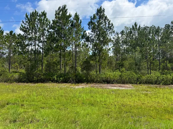 0 State Highway 341, Odum, GA 31555