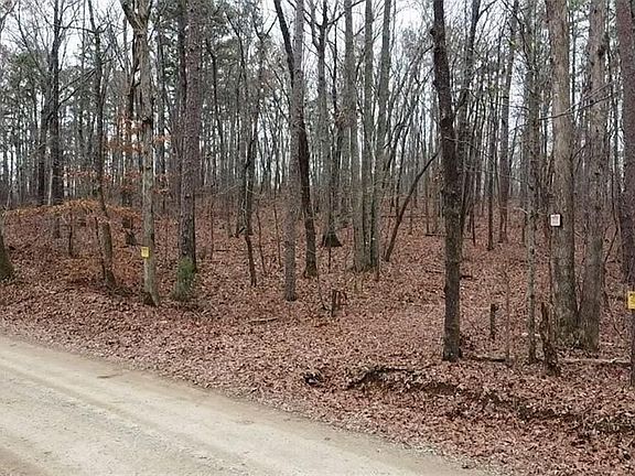 5th image of 0 Treat Mountain Rd