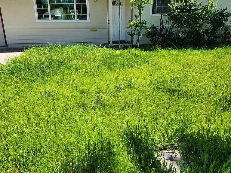 228 E Whittier Ave — Photo 8