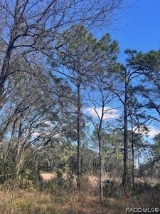 4909 S Grand Circle Ter, Homosassa, FL, 34446